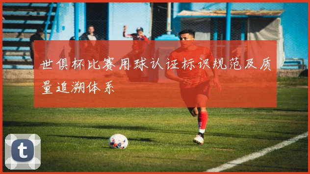 世俱杯比赛用球认证标识规范及质量追溯体系