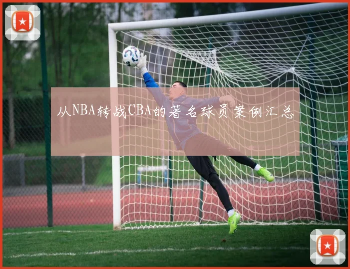 从NBA转战CBA的著名球员案例汇总