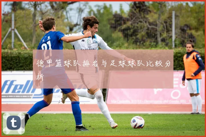 德甲篮球队排名与足球球队比较分析